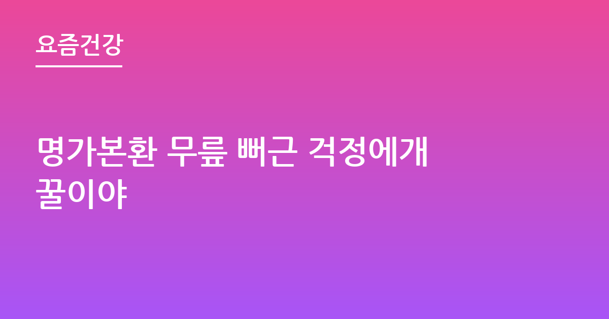 명가본환 무릎 뻐근 걱정에개꿀이야