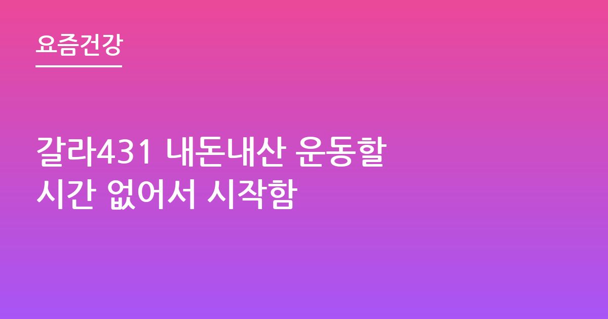 갈라431 내돈내산 운동할 시간 없어서 시작함
