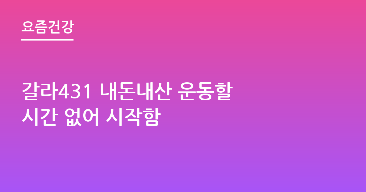 갈라431 내돈내산 운동할 시간 없어 시작함