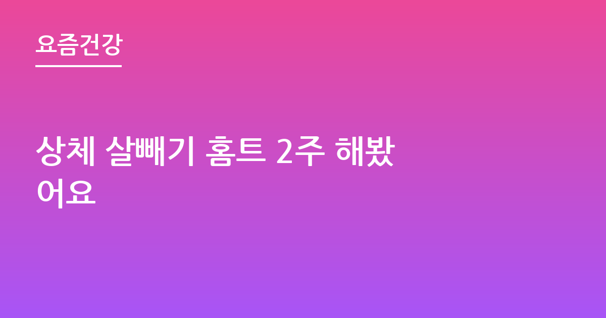 상체 살빼기 홈트 2주 해봤어요