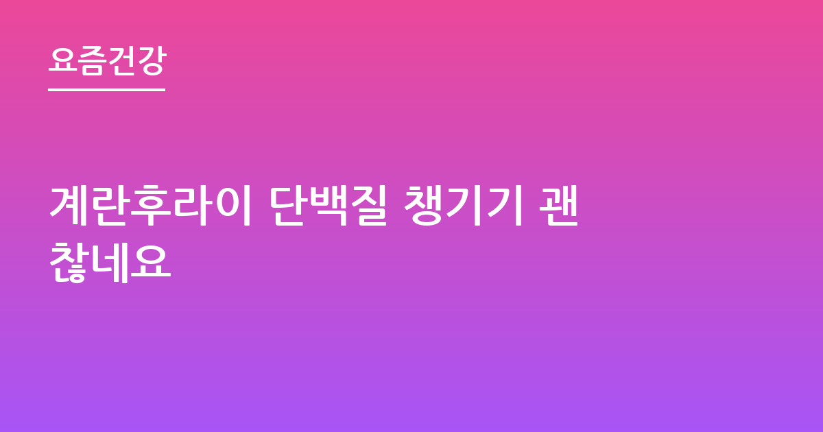 계란후라이 단백질 챙기기 괜찮네요