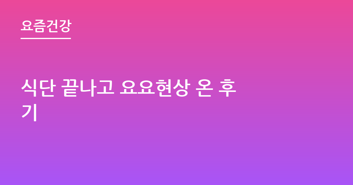 식단 끝나고 요요현상 온 후기
