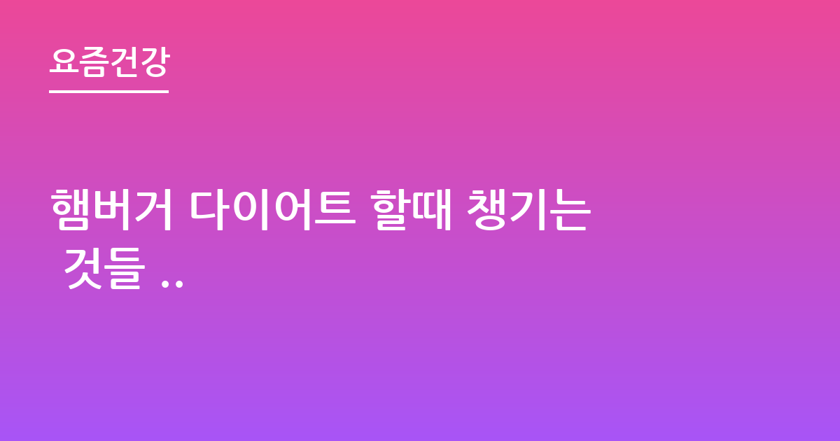 햄버거 다이어트 할때 챙기는 것들 ..