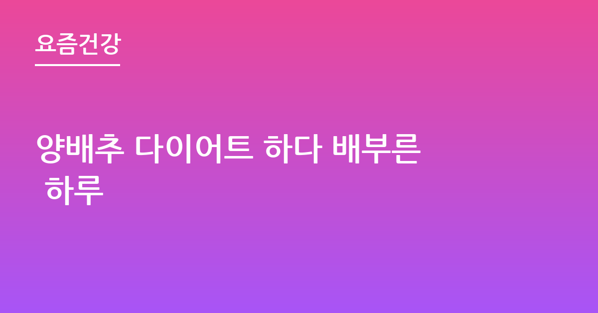 양배추 다이어트 하다 배부른 하루