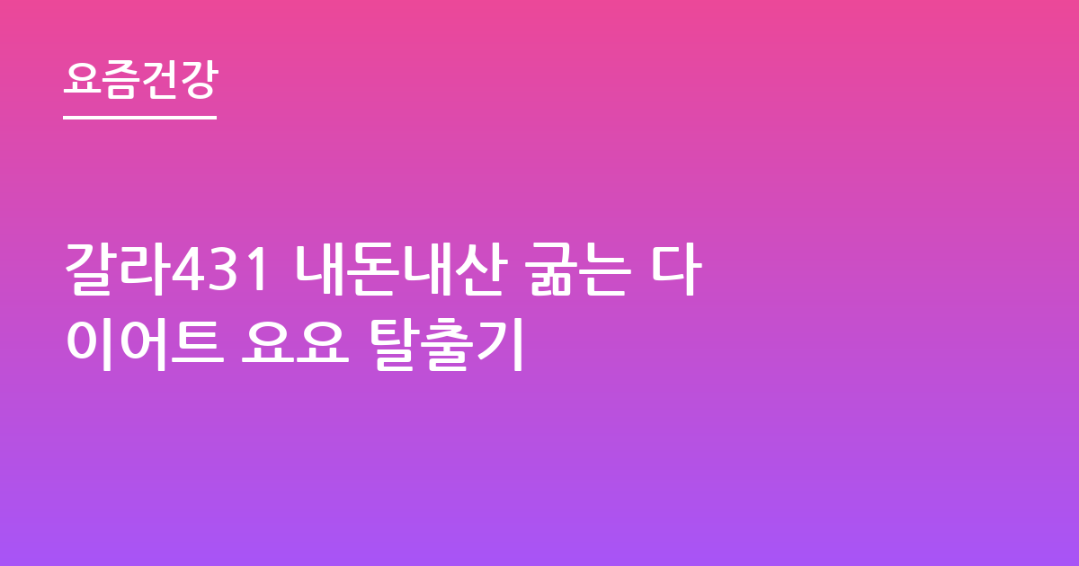 갈라431 내돈내산 굶는 다이어트 요요 탈출기
