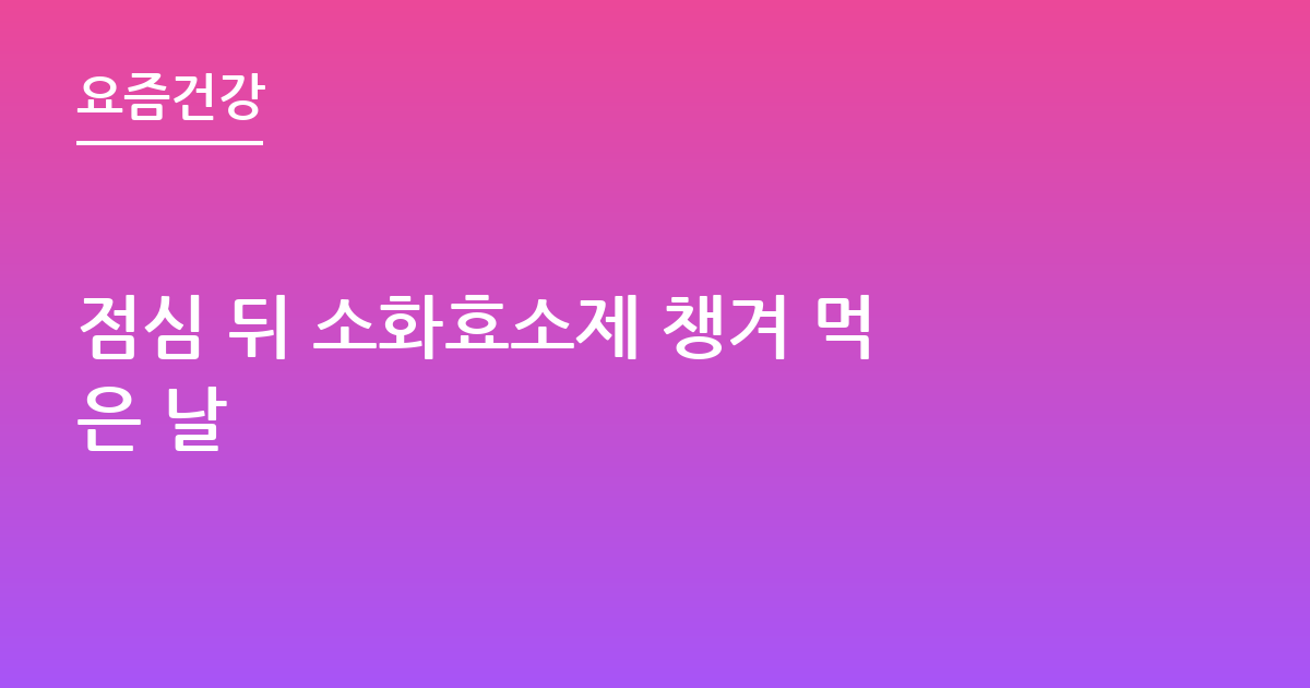 점심 뒤 소화효소제 챙겨 먹은 날