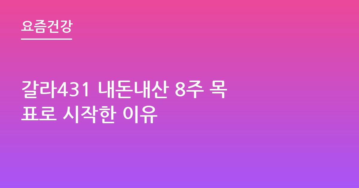 갈라431 내돈내산 8주 목표로 시작한 이유