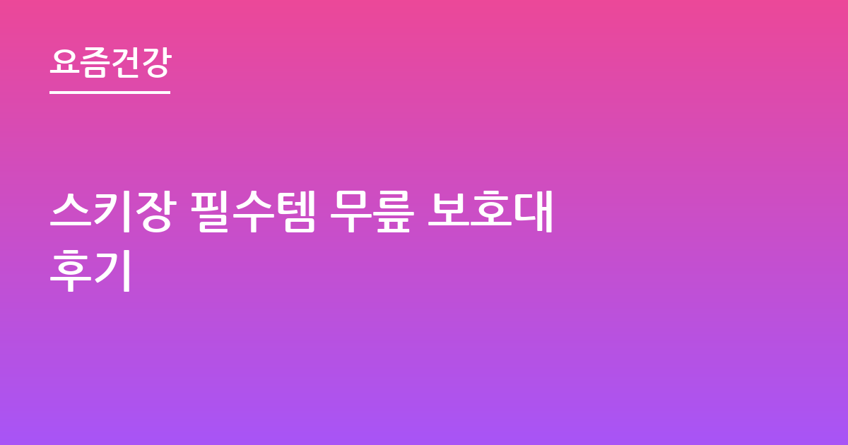 스키장 필수템 무릎 보호대 후기