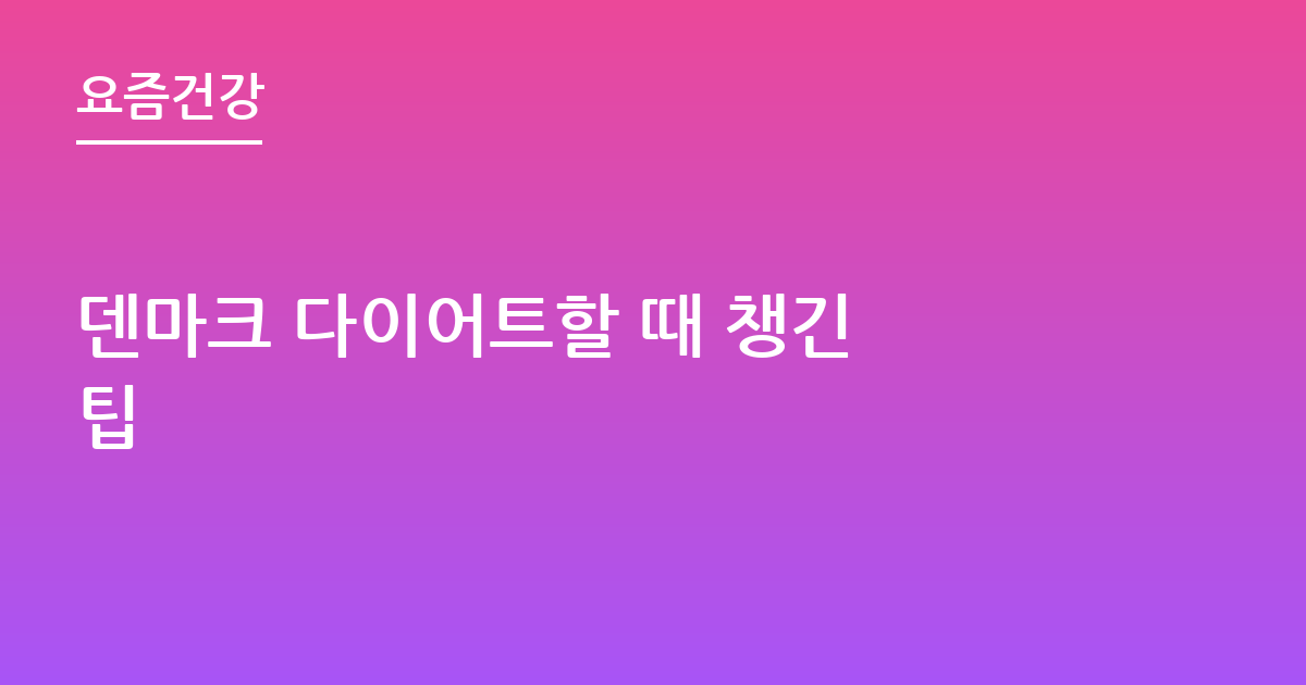 덴마크 다이어트할 때 챙긴 팁